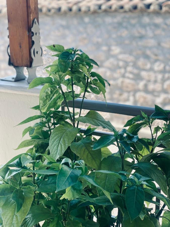 Lydia House Apartment Corinth Екстериор снимка